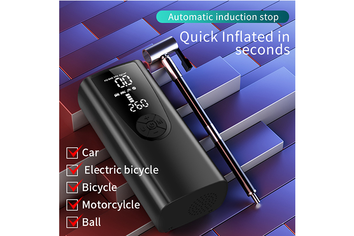 P005 charging pump