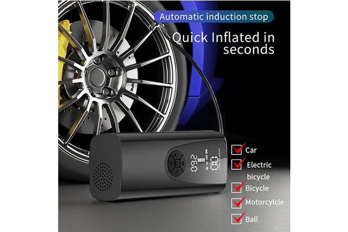 P005 charging pump